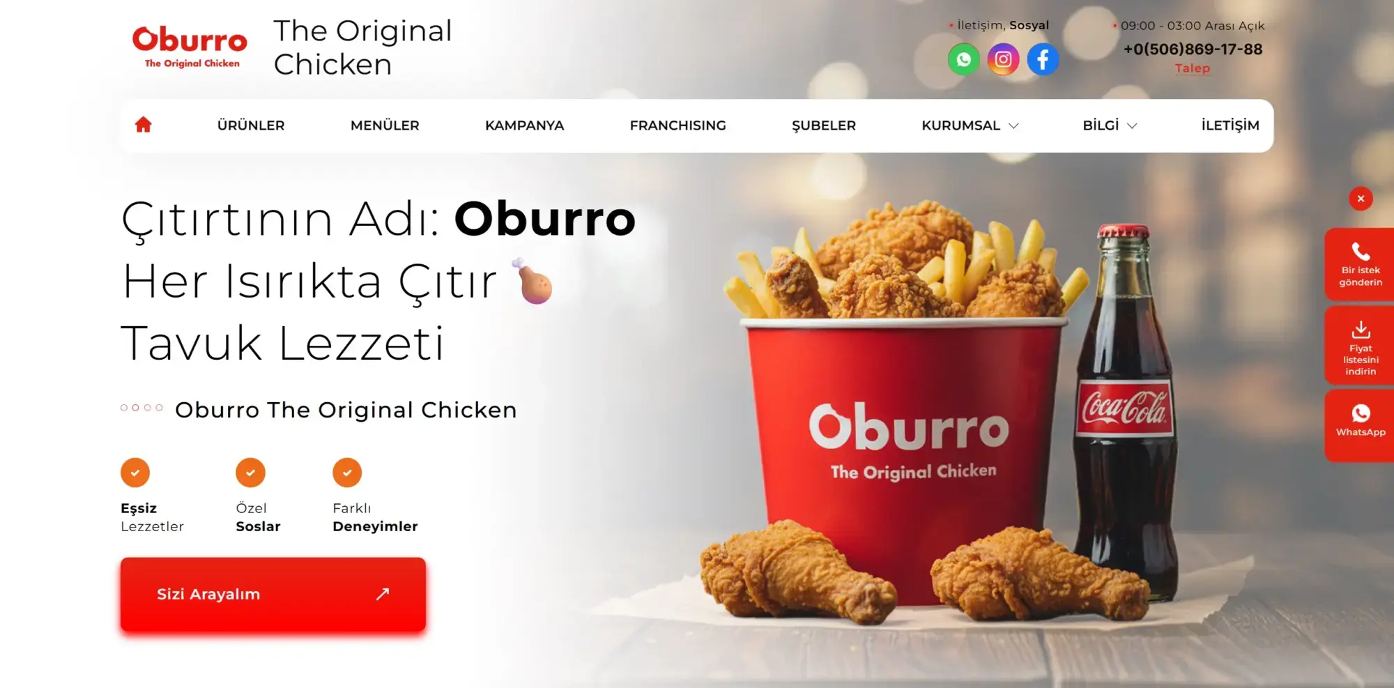 Oburro Web Sitesi & Logo Tasarımı görseli